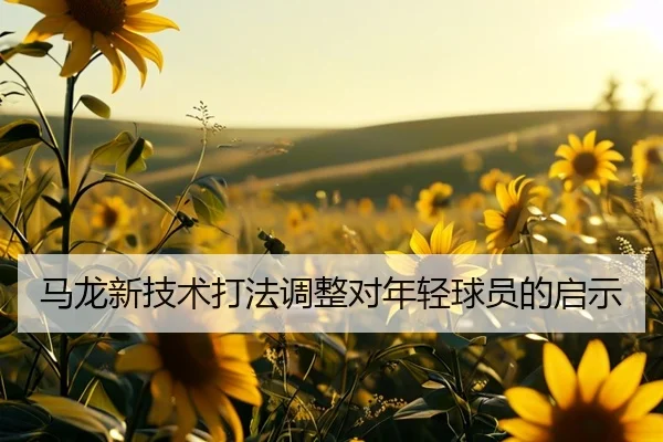 马龙新技术打法调整对年轻球员的启示